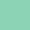 Mint Shell color